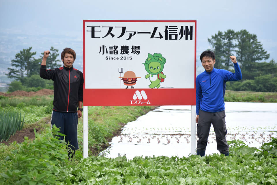 mosfarm-yamamoto-obana